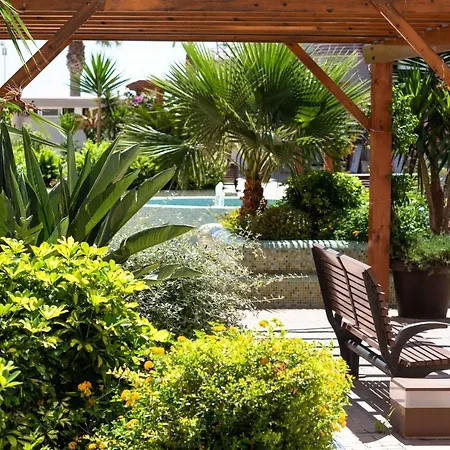 Nuevo Mexico C 351 卡尔佩